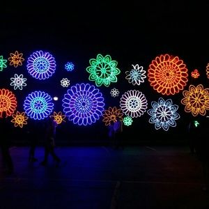 Meet your Posher, Sophia